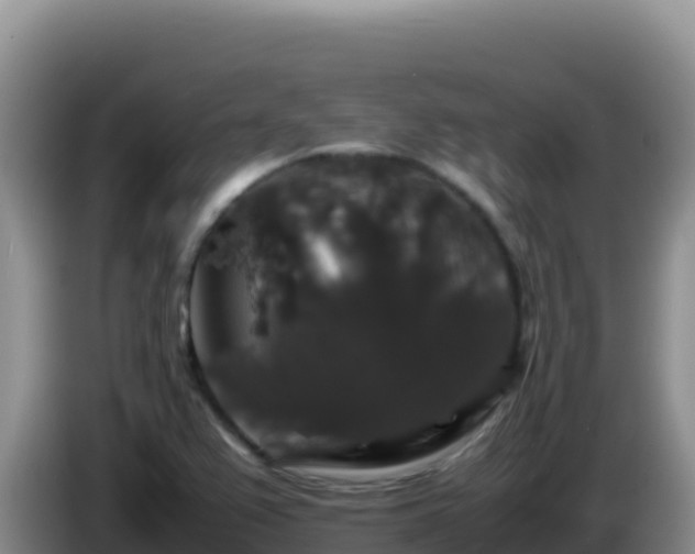 X0000086261367200704051253