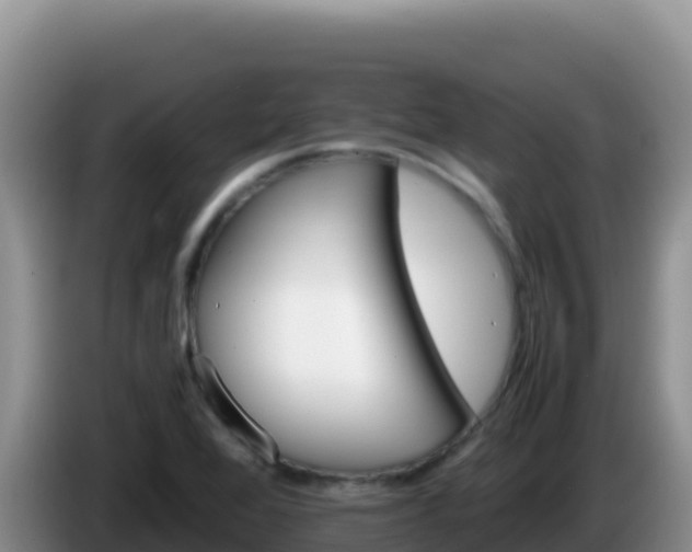 X0000086261368200704051253