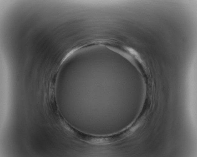 X0000086261369200704051253