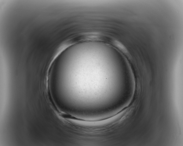 X0000086261370200704051253