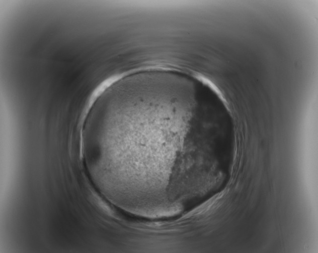 X0000086261371200704051253