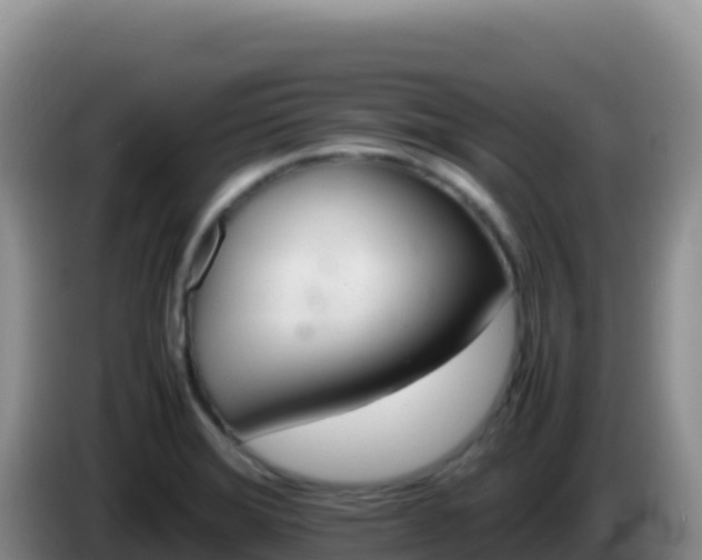 X0000086261372200704051253