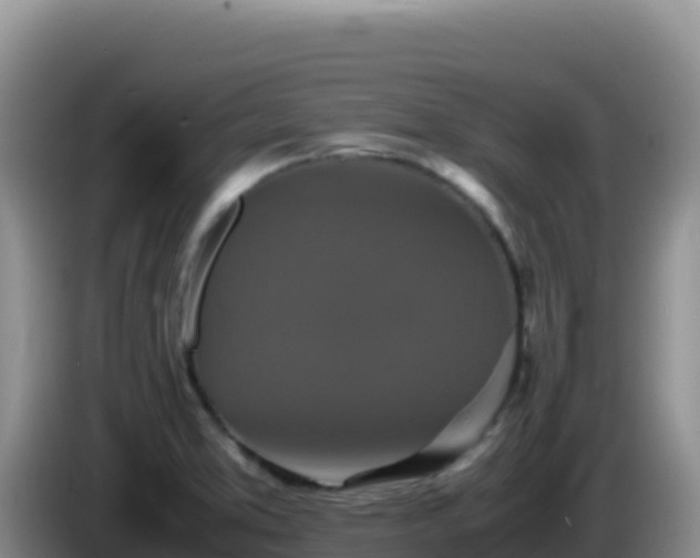 X0000086261373200704051253