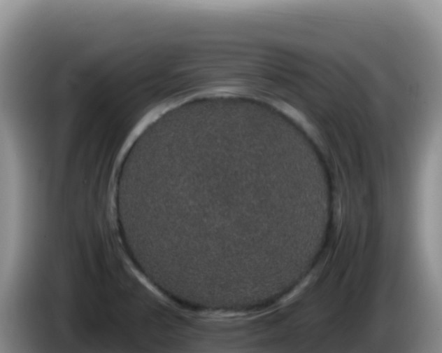 X0000086261374200704051253