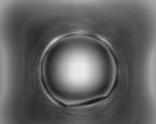 X0000086261375200704051253