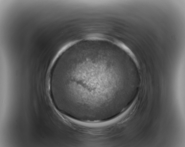 X0000086261376200704051253