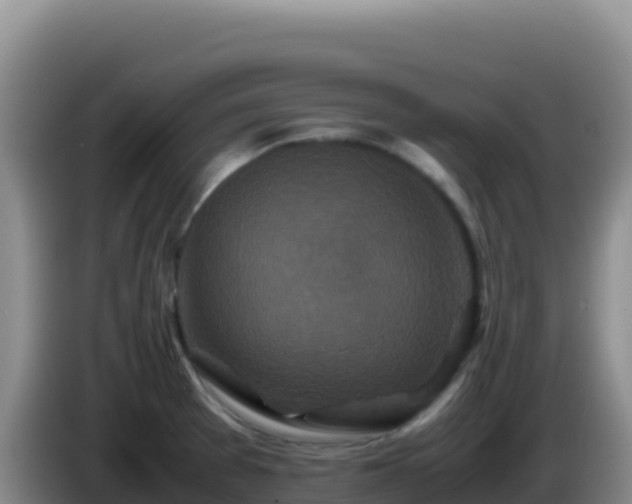 X0000086261377200704051253