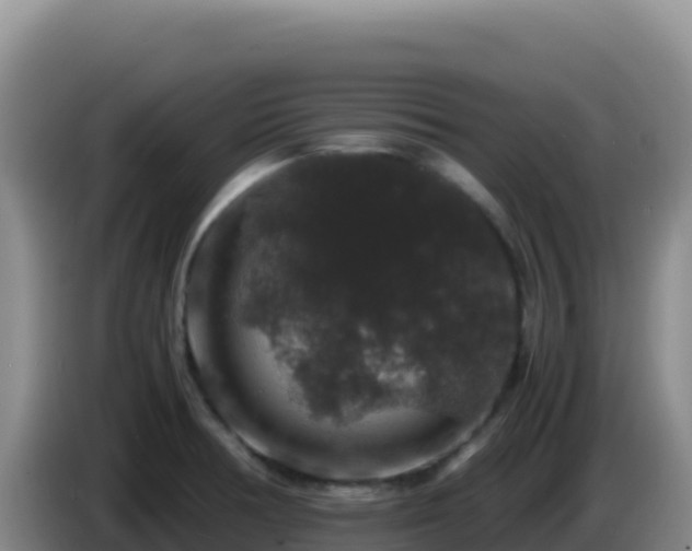 X0000086261378200704051253