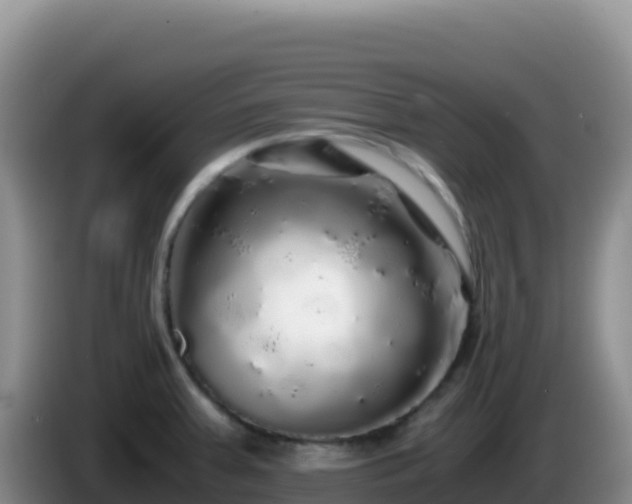 X0000086261379200704051253