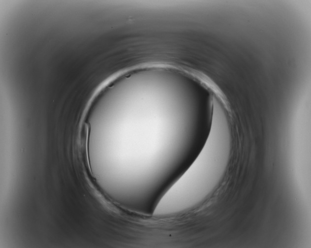 X0000086261380200704051253