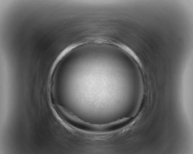 X0000086261381200704051253