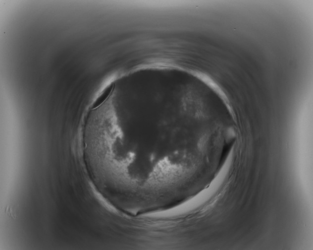 X0000086261382200704051253