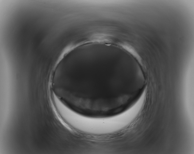 X0000086261383200704051253