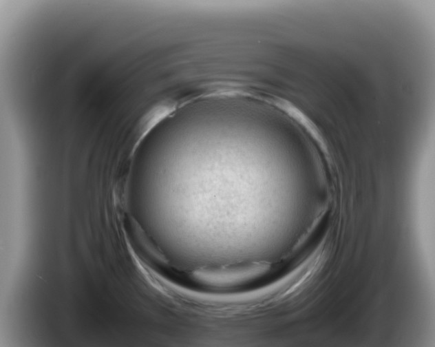 X0000086261385200704051253