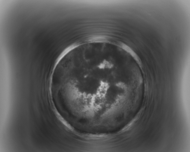 X0000086261386200704051253