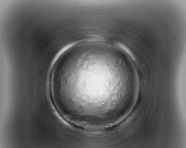 X0000086261387200704051253