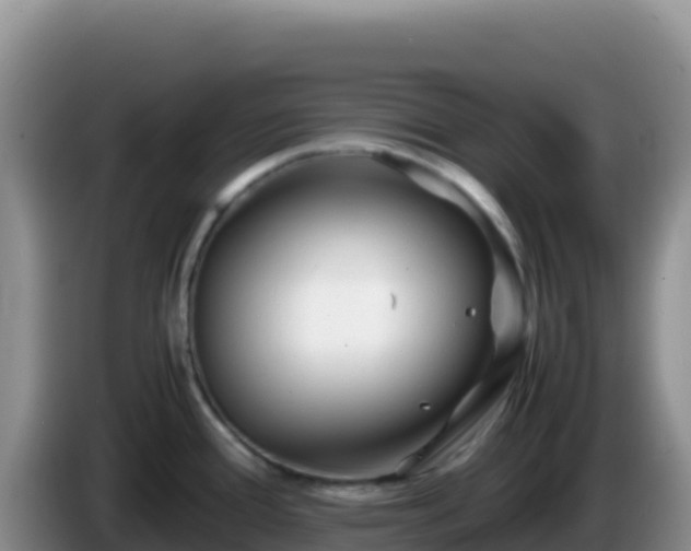 X0000086261388200704051253