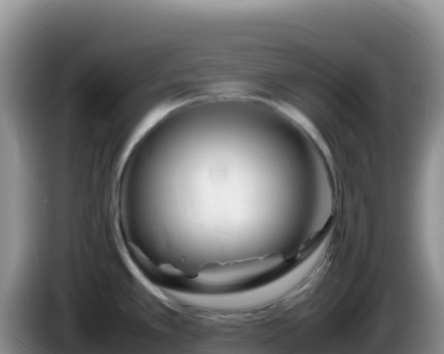 X0000086261389200704051253