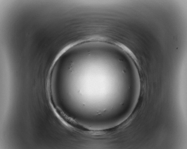 X0000086261391200704051253