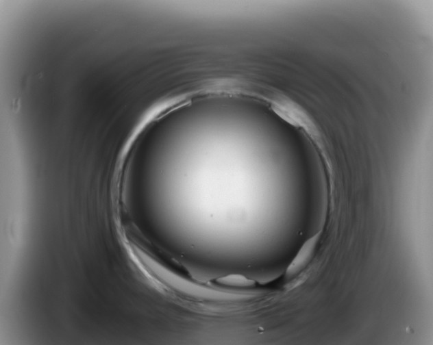 X0000086261392200704051253