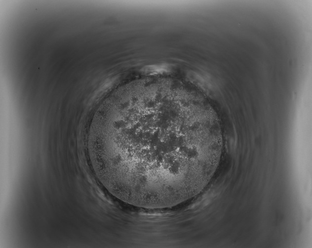 X0000086261393200704051252