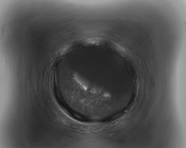X0000086261394200704051252