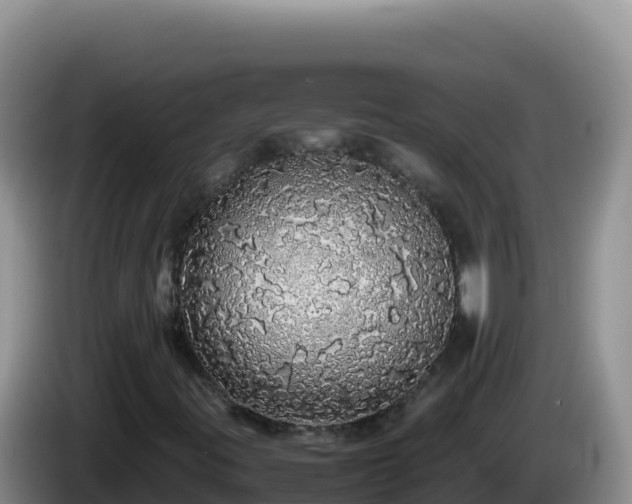 X0000086261395200704051252