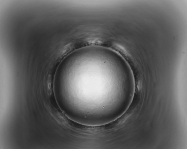 X0000086261396200704051252