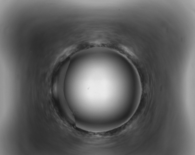 X0000086261398200704051252