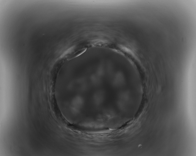 X0000086261399200704051252