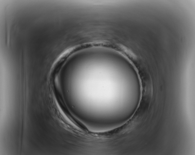 X0000086261400200704051252