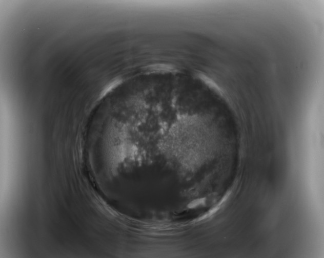 X0000086261401200704051252