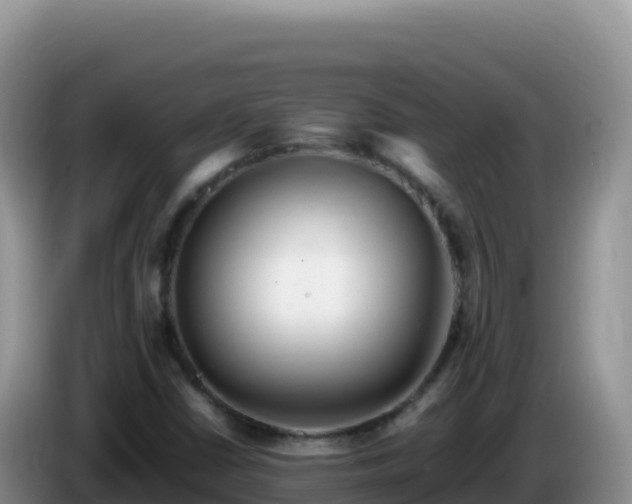 X0000086261402200704051252