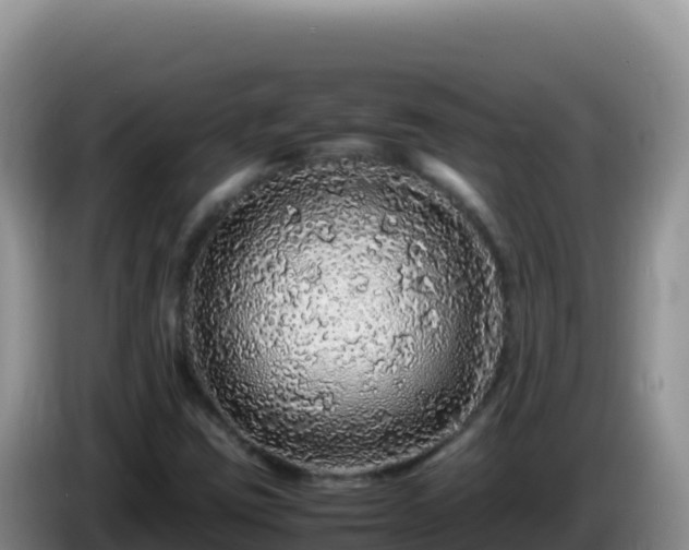 X0000086261403200704051252