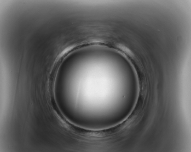 X0000086261404200704051252