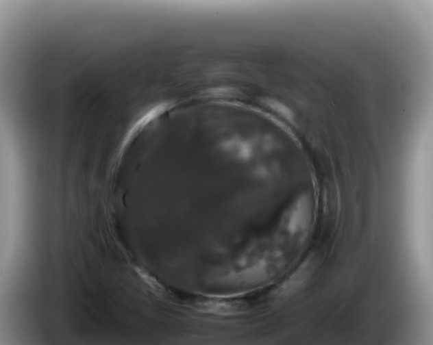 X0000086261405200704051252