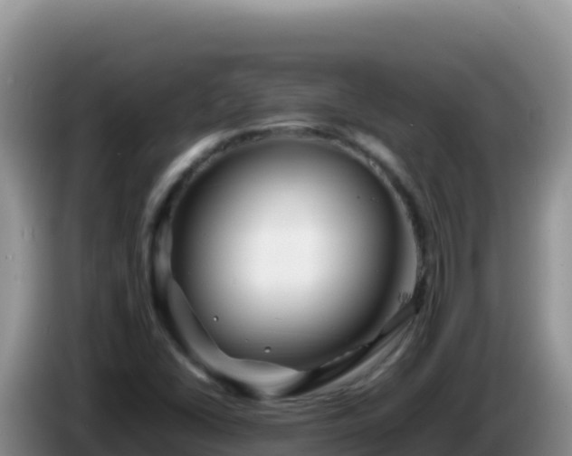 X0000086261406200704051252