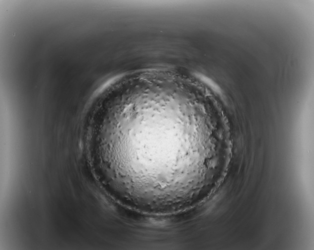 X0000086261407200704051252