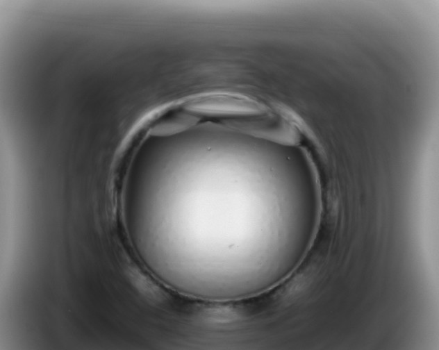 X0000086261408200704051252