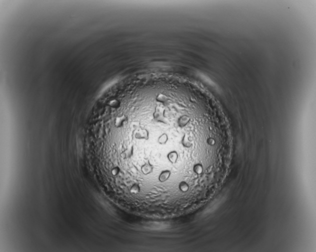X0000086261409200704051252