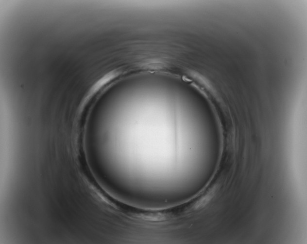 X0000086261410200704051252