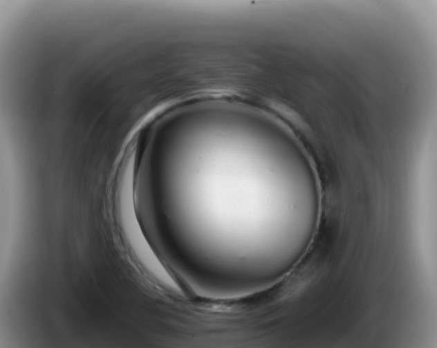 X0000086261412200704051252