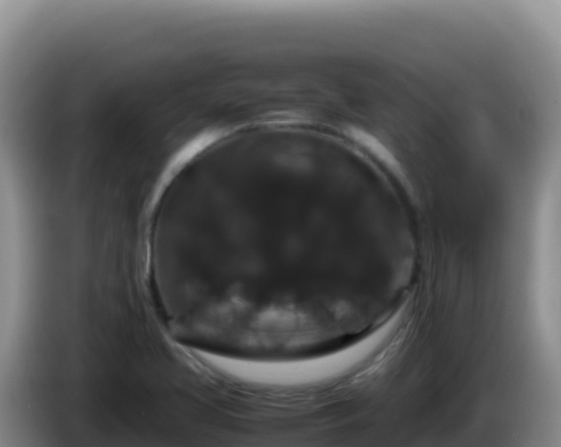 X0000086261413200704051252