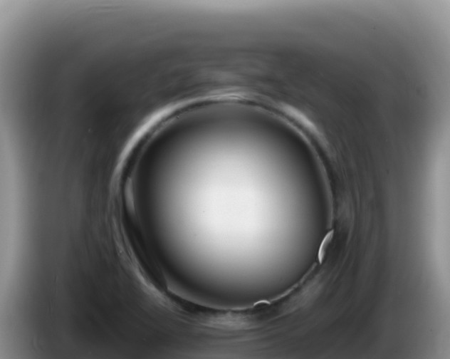 X0000086261414200704051252