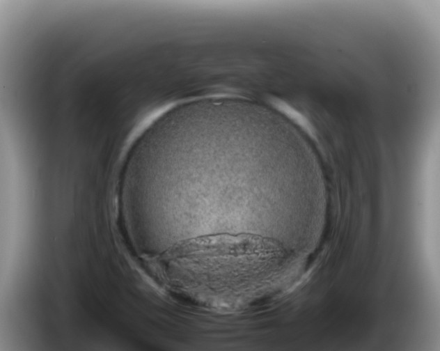 X0000086261415200704051252