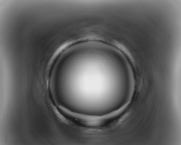 X0000086261416200704051252