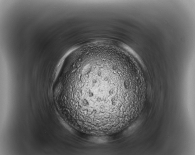 X0000086261417200704051252