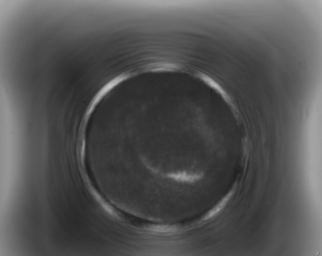 X0000086261418200704051253