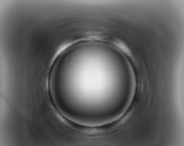 X0000086261420200704051253