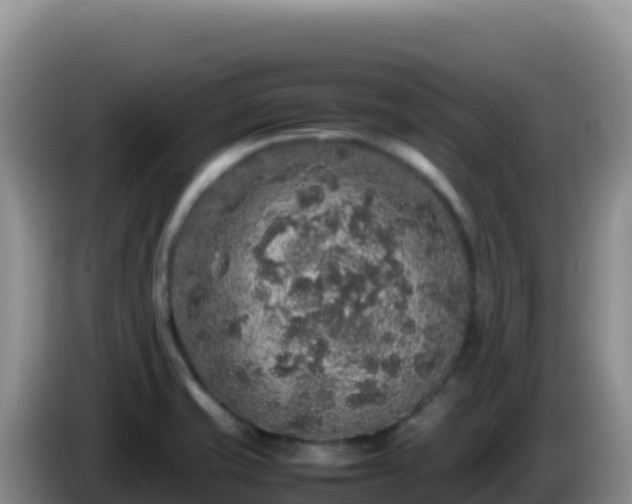 X0000086261421200704051253